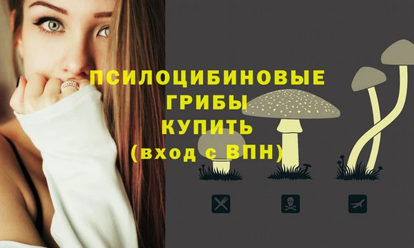 дурь Алзамай