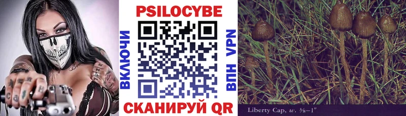 mega как зайти  Батайск  Псилоцибиновые грибы мухоморы  где найти  