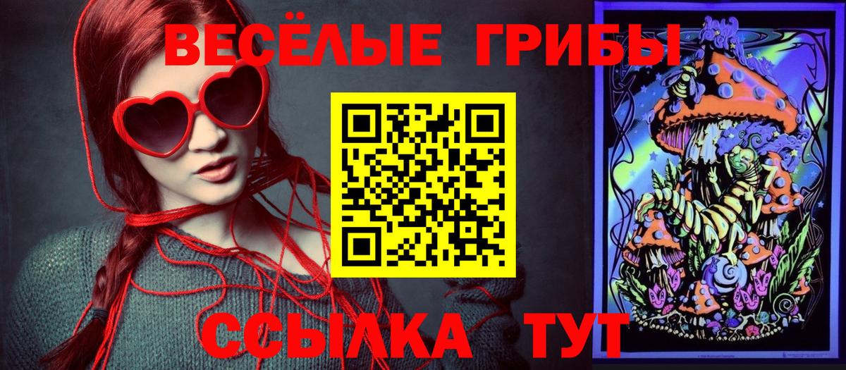 Галлюциногенные грибы Magic Shrooms  Псилоцибиновые грибы GOLDEN TEACHER  Вход с VPN  Батайск 